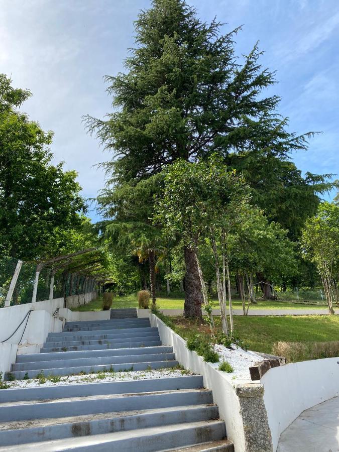 Albergue Mirador De Pedrouzo Εξωτερικό φωτογραφία